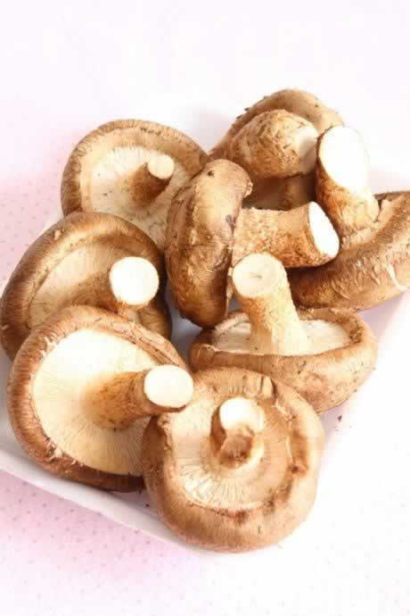 ��α����㹽���������