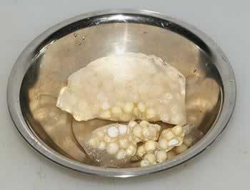 �ٺϼ�ͷ����ˮ������