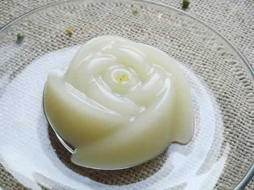 �̶����⡢�̶�ɳ������