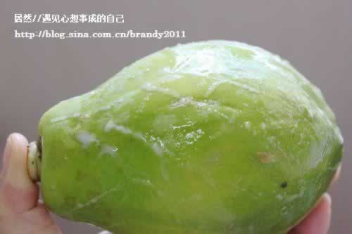 ľ��ü��������������