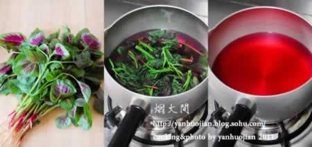 ����֭���۵�����