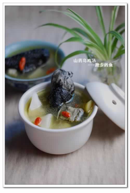 ɽҩ�ڼ���������