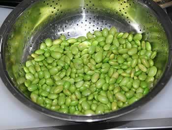 ��ë����������