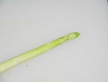 �ͷ��������׶���������