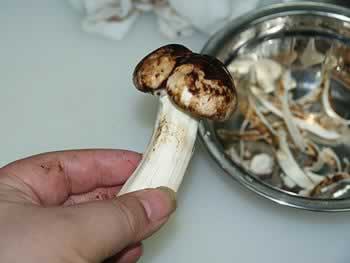 �ͷ��������׶���������