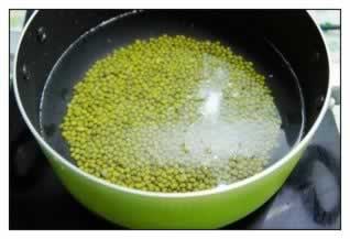 �̶�ɳ����������