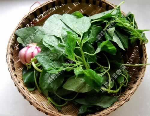 �������ȵ�����