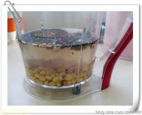 桃仁黑芝麻枸杞豆浆的做法