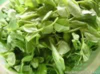 ���㶹�������