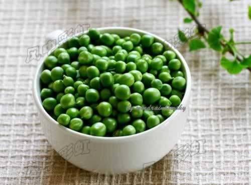 ���㶹������