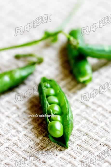 ���㶹������