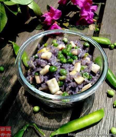 �����붹���׷�������