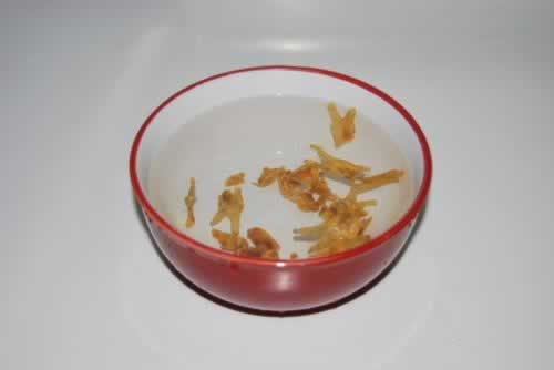 �ɸɲ�����������