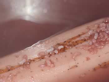 �춹����Ŵ��ź������