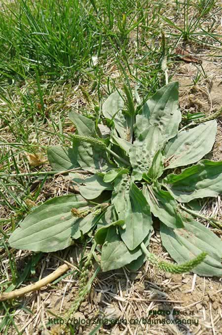 ��ǰ���������