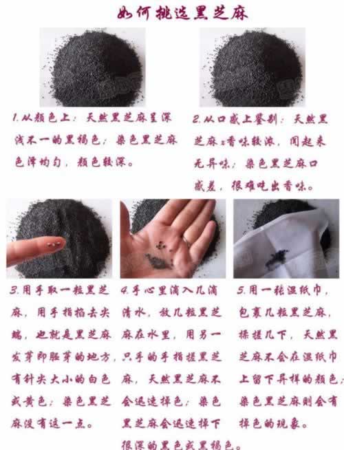 ���ƺ�֥���VS��֥��۵�����