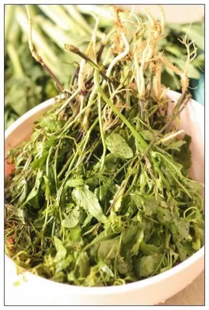 ������Ұ����������