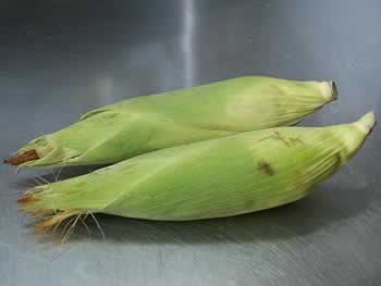 �ƽ�������԰ɳ��������