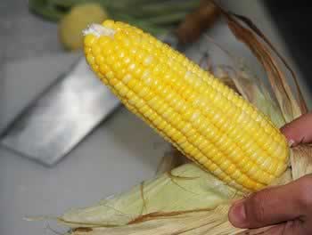 �ƽ�������԰ɳ��������