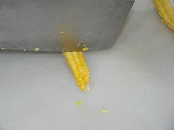 �ƽ�������԰ɳ��������