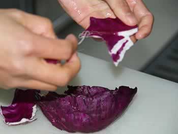 �ƽ�������԰ɳ��������