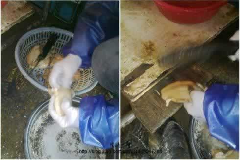 蚌肉烧菜苔的做法