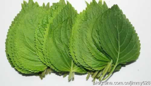 杏香鱼籽蒸茄子的做法