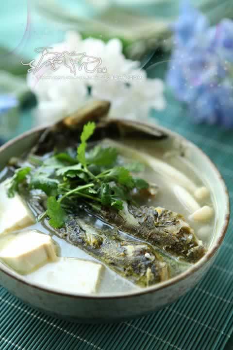 ����㶹����������