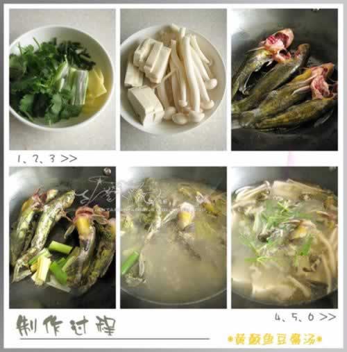 ����㶹����������