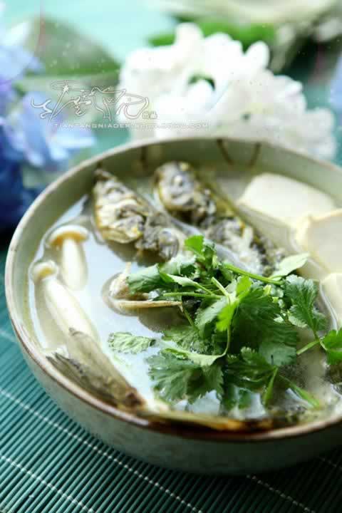 ����㶹����������