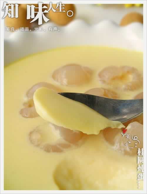 ��Բ����������