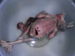 �������ӵ�����