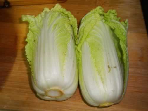 ľ���������޲˵�����