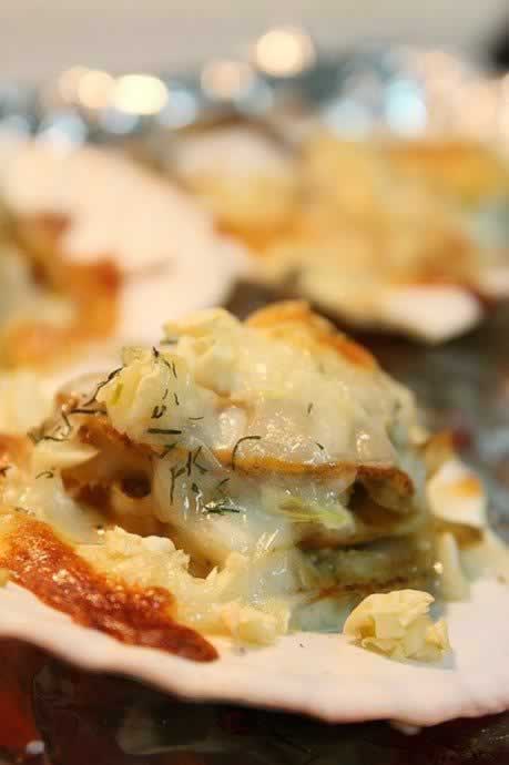 ֥ʿ�h�ȱ�������