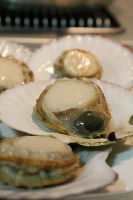 ֥ʿ�h�ȱ�������