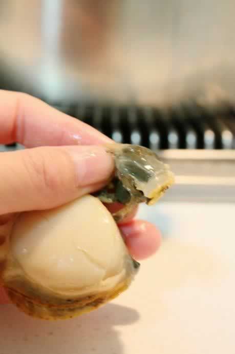 ֥ʿ�h�ȱ�������