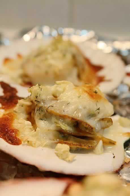 ֥ʿ�h�ȱ�������