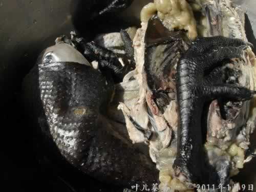 �ڼ�ɽҩ�ҵ�����