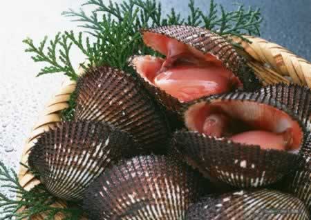 ����Ѫ�������