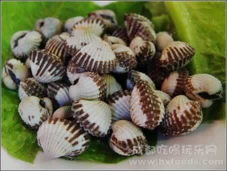 ����Ѫ�������