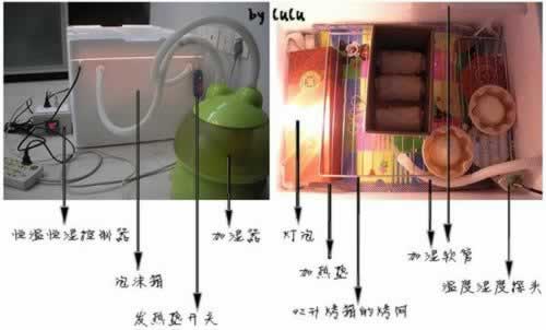 ���������ȫ�Զ����º�ʪ�����������