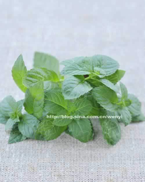 ����ʳ����ݵķ���������