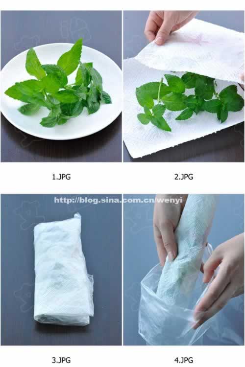 ����ʳ����ݵķ���������