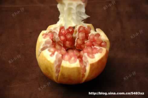 ʯ���ƤС���ŵ�����