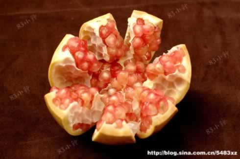 ʯ���ƤС���ŵ�����