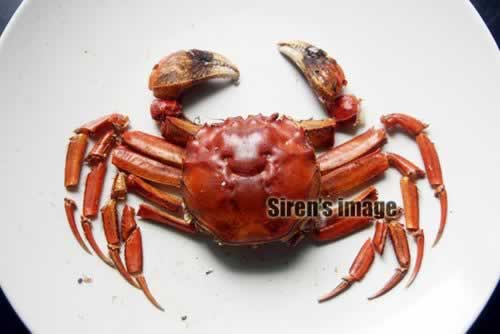 ��β�з�������