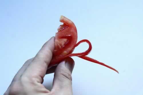 �������̱�װ���з�������