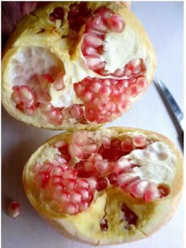 �������ɰ�ʯ�������