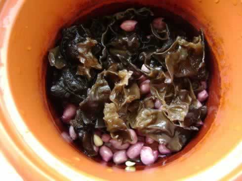 ����������Ѫ��������