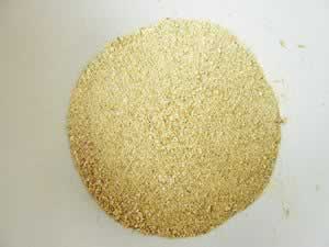 ϺƤ�۵�����